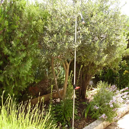 House Ojdana * סביד